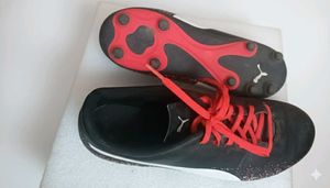 Puma Football shoes/ Soccer Cleats