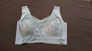 Padded Bra (36AB)