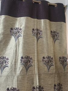 Curtain