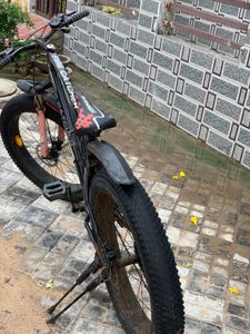 Fire Catcher Fat Tire Bicycle