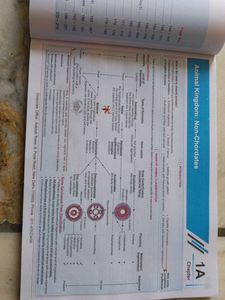 Ncert Maps For Neet = Botany