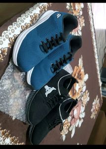 Combo Of Men Shoes