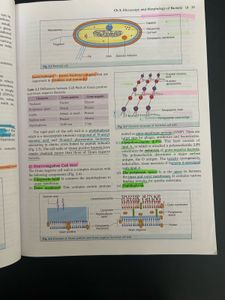 Microbiology C P Baveja