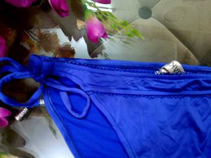 Beautiful Blue Penty