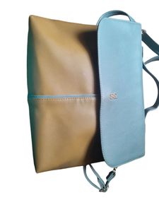 Baggit Bag