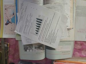 (IX) ALL SST BOOKS AND A GUIDE BOOK &amp; Sample Paper