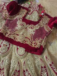 Elegant Embroidered Lehenga Choli Set