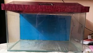 new fish tank aquarium With Blue Tube Light
