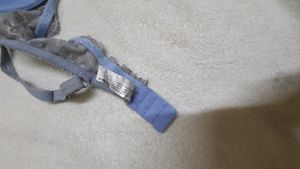 Sexy Padded Bra