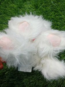 Cat Cuite Soft Toy