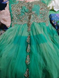 Elegant Green Embroidered Dress