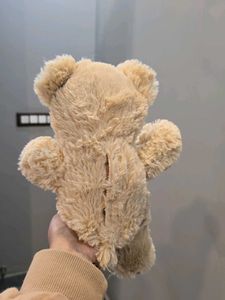 Cute Teddy Bear