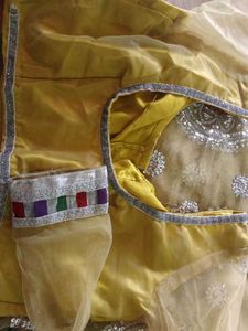Embellished Net Saree With Blouse And Peticoat
