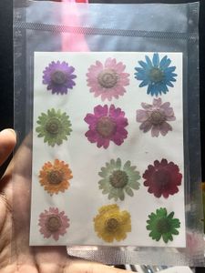 Resin press dried flowers