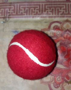 Tenis Ball Pack Of 2