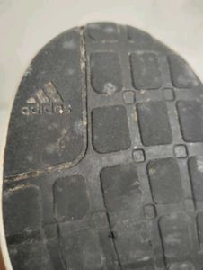 Adidas Running Shoes