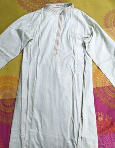 Light Green Ethnic Cotton Kurta for Men