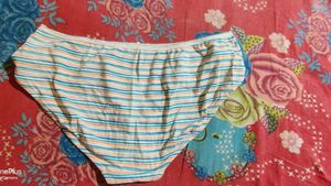 Garment