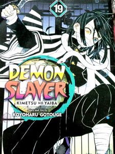 Demon Slayer: Kimetsu no Yaiba Vol. 19