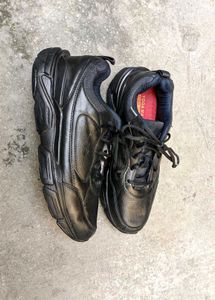 Campus Imported Sports Shoes 👟