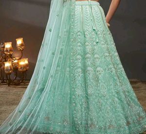 Mint Green Embellished Lehenga Choli