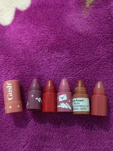 Gush Beauty5 in 1pan pal Lipstick Stack