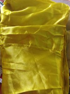 Embellished Net Saree With Blouse And Peticoat