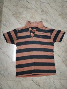 Striped Polo Shirt