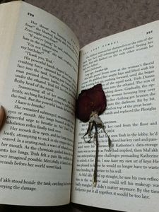 The Lost Symbol