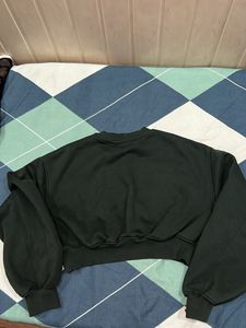 Zara Crop Green Dark Sweat Shirt