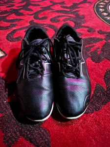 Original Puma Ferrari Sneakers