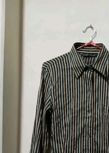 Zara Woman Striped Button-Down