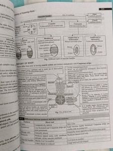 Mtg Neet Champion Biology Class 11&amp;12