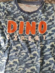 Dino Expert Tee