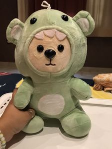 Cute Frog Bear Plush