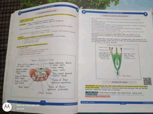 Johari MBBS Anatomy Lectures - Volumes 1 &amp; 2