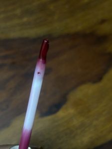 Estee Lauder Lip Gloss