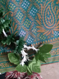 Festive Door Decor