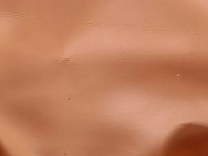 Peach/Coral Colored Bag