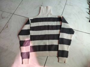 Turtleneck Sweater