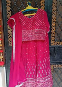 Red Embroidered Lehenga Skirt