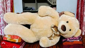6 Feet Archie&#39;s Branded Teddy Bear