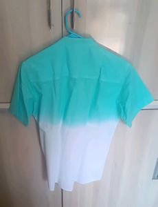Men/Unisex Mandarin Collar Half Sleeve  Green And White Shaded Shirt Size - 40