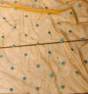 Gorgeous Lehenga Choli