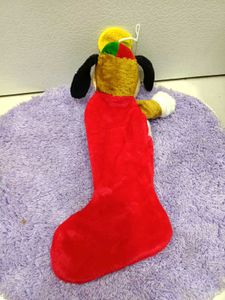 Plush Dog in Stocking