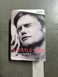 A Little Life