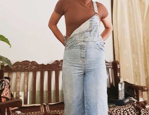 Light Wash Denim Overalls