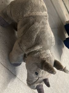 Teddy