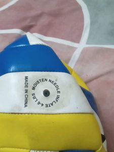 Official Size Volleyball