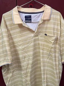 Striped Polo Shirt